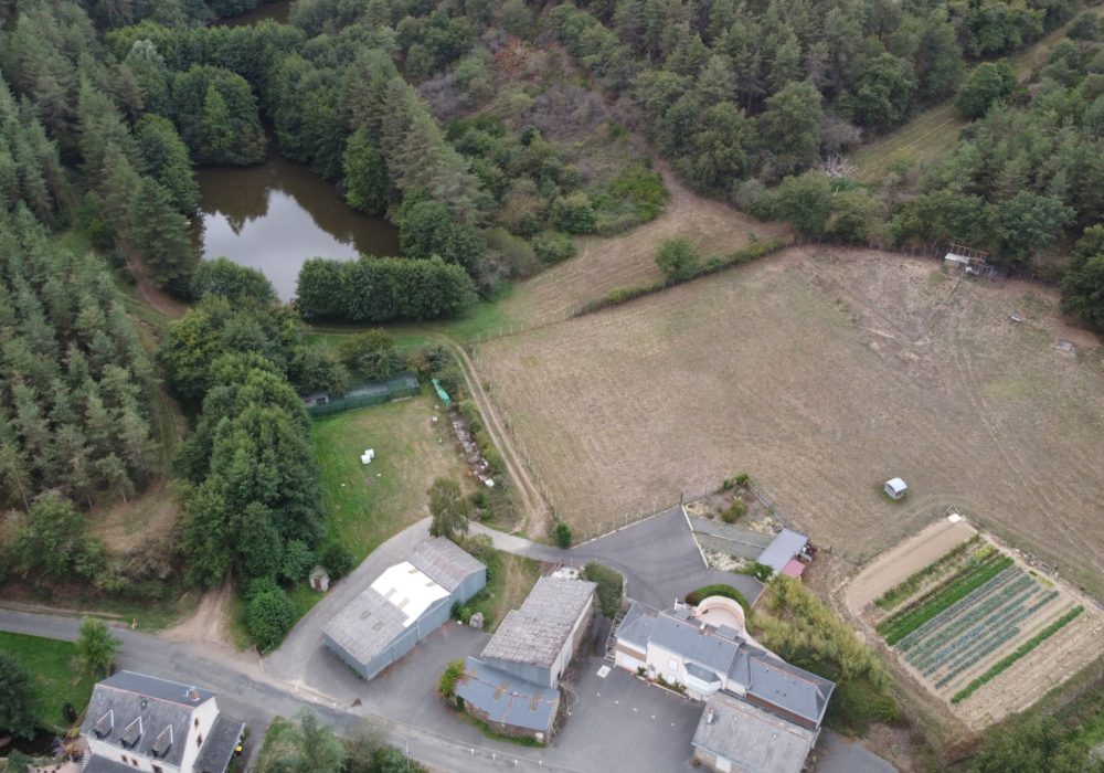 DJI_0138